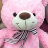 Pink ribbon plush toy bear, birthday gift, toy doll, hug bear Specification image
